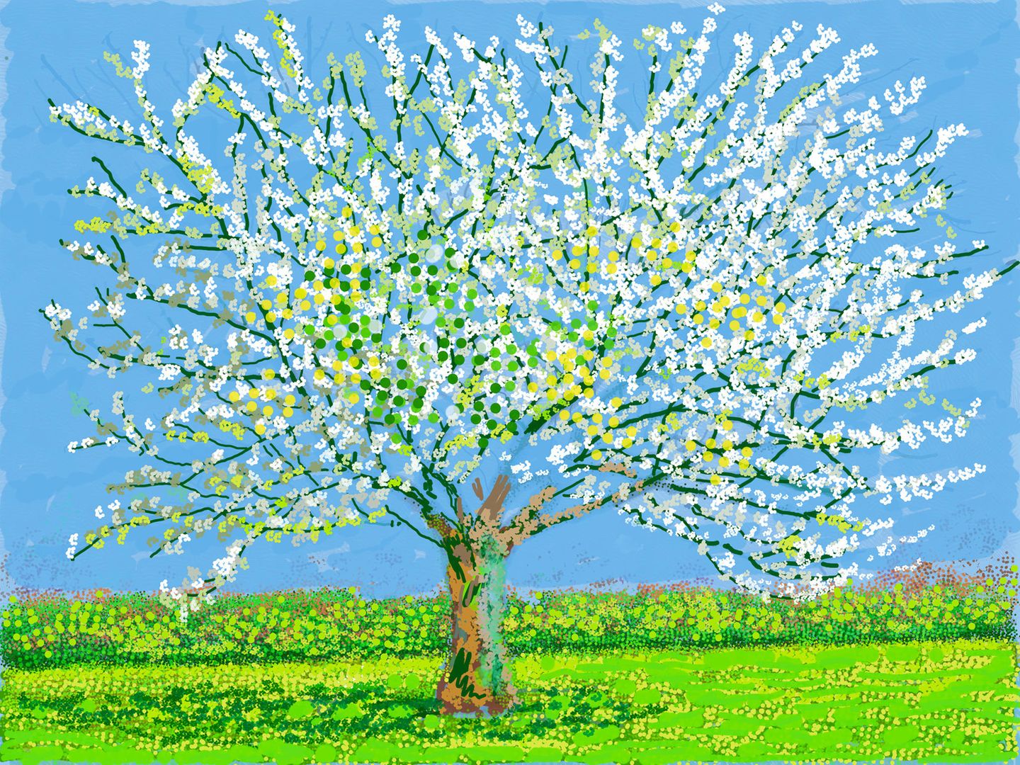 David Hockney