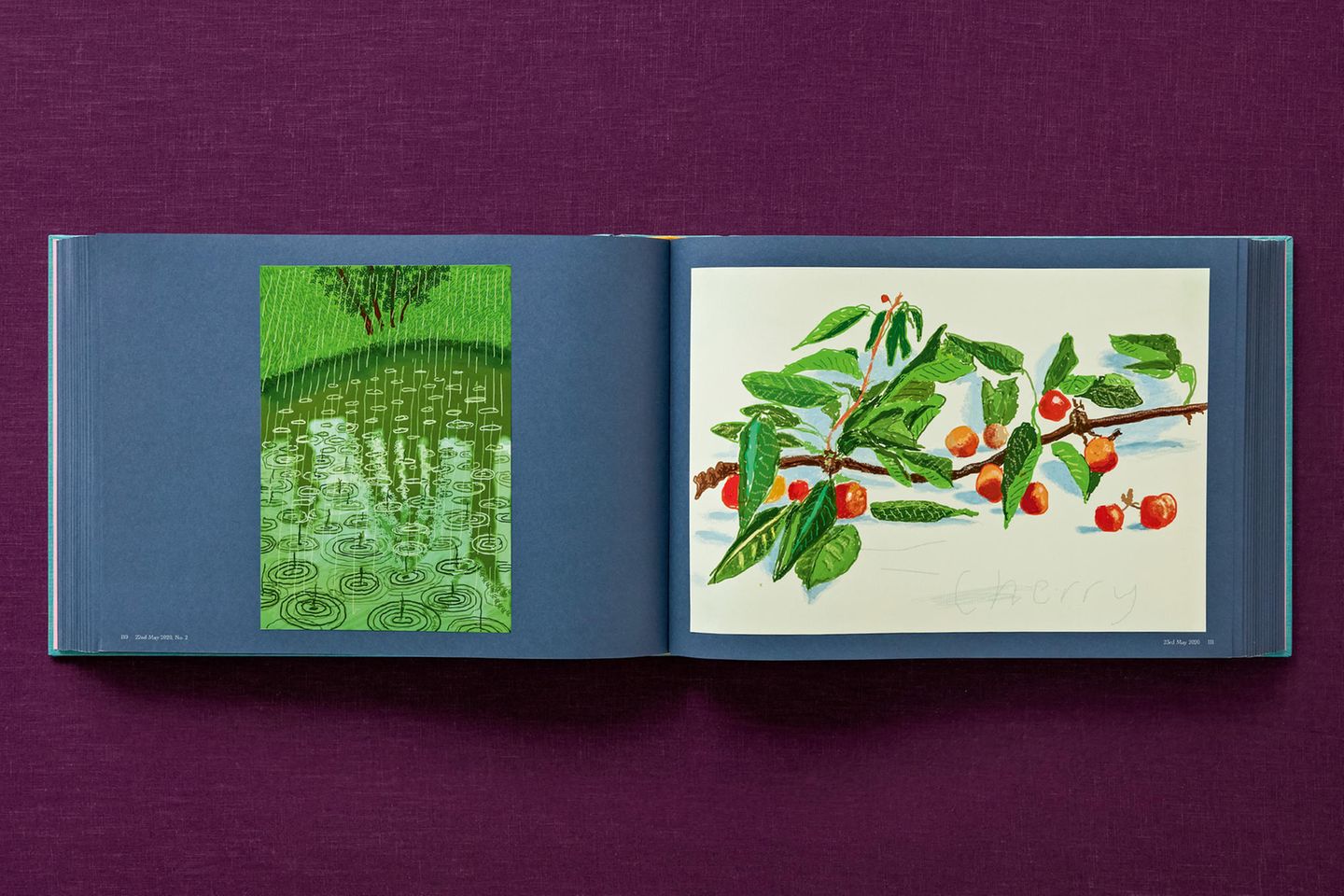 David Hockney
