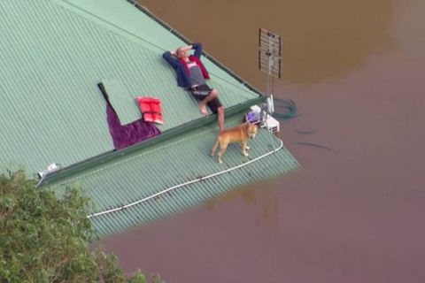 Australien: Dramatisches Hochwasser: Menschen müssen auf Hausdächern übernachten