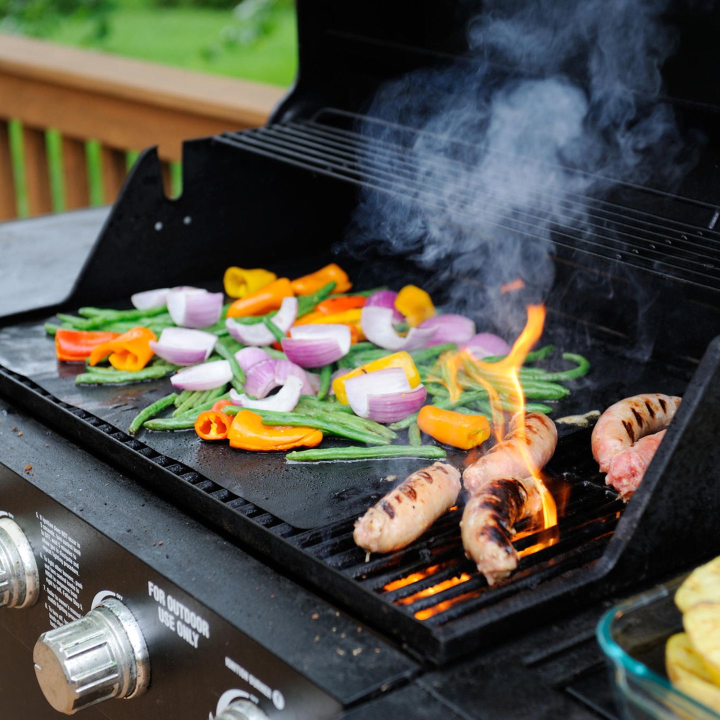 Gas Grill