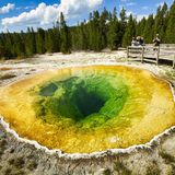 Prächtiges Farbenspiel: Die heiße Quelle Morning Glory Pool gehört zu den beliebtesten Sehenswürdigkeiten des Yellowstone Nationalparks   