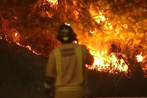 Video: Waldbrände in Chile halten Feuerwehrleute in Atem