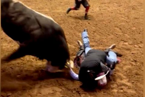 Vater riskiert sein Leben und rettet Sohn vor einem tobenden Stier