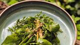 Kimchi-Salat