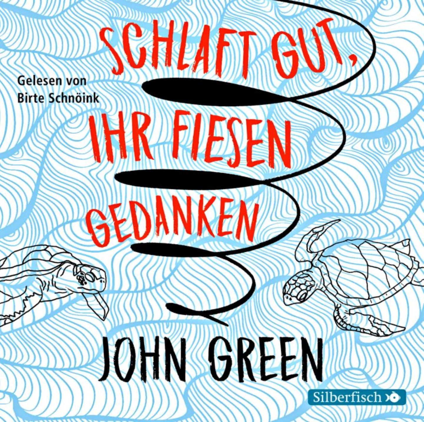 Cover schlaft gut, ihr fiesen Gedanken John Greene