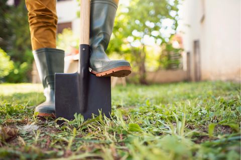 Gartenarbeit im März: Mann steht mit Spaten auf einer Rasenfläche