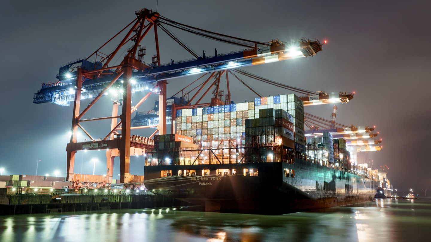 Ein Containerschiff im Hamburger Hafen