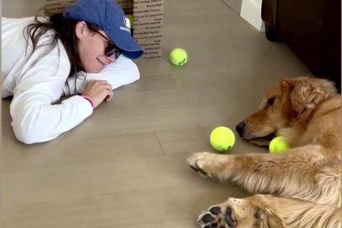 Süßes Tiervideo: Golden Retriever Hudson ist der wohl entspannteste Hund der Welt