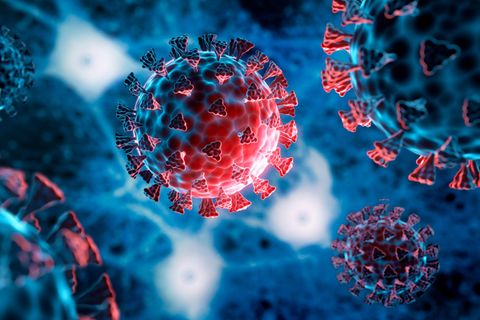 Coronavirus Omikron-Subtyp BA.2