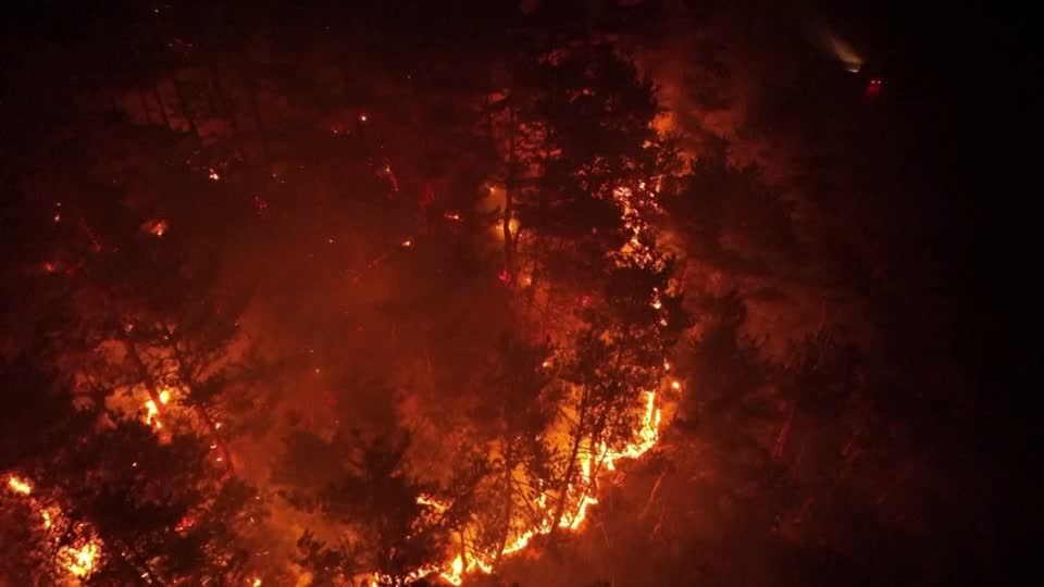 Video: Waldbrand wütet in Südkorea