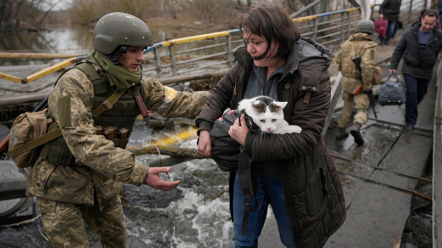 Ceasefire: What a Humanitarian Corridor Really Brings