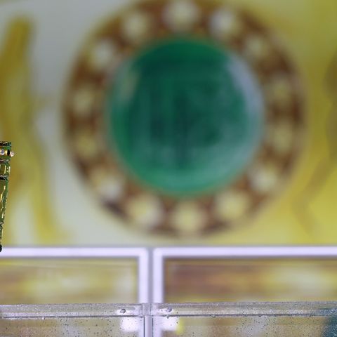 DFB Pokal Trophy