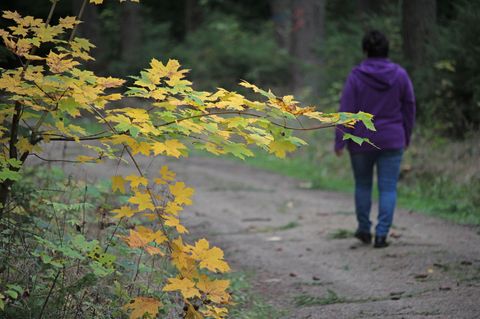 Eine Frau geht im Wald spazieren