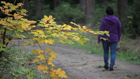 Eine Frau geht im Wald spazieren