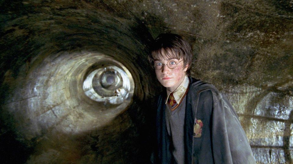 Harry steht in der Kammer des Schreckens