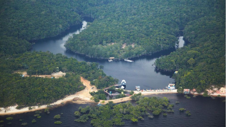 Regenwald Studie Luftaufnahme zeigt einen Teil des Regenwaldes