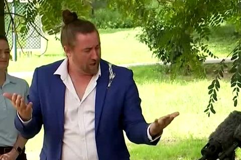 Vogelschiss auf Dolmetscher sorgt für Unterbrechung von Pressekonferenz