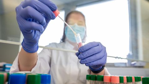 Eine Mitarbeiterin eines medizinischen Labors in Dresden wertet PCR-Tests aus