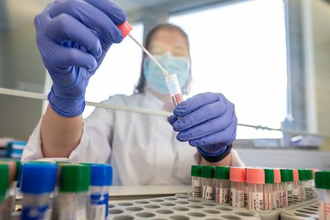 Eine Mitarbeiterin eines medizinischen Labors in Dresden wertet PCR-Tests aus