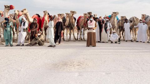 Schönheitswettbewerb für Kamele: Arbeiter und Pfleger warten geduldig auf das Ende der Siegerehrung