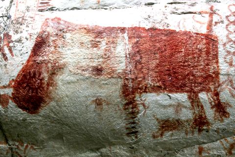 In Kolumbien entdeckte Felsmalerei eines Riesentieres