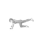 Übungen für starke Knochen