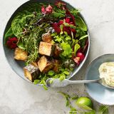 Rezepte gegen Knochenschwund