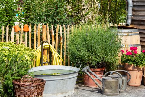 Garten und Balkon: Das müssen Sie kurz vor Frühlingsanfang beachten