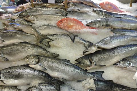 Wildlachs