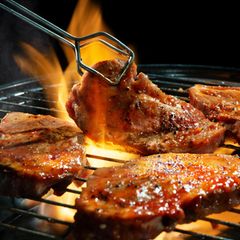 Ratgeber Grillen