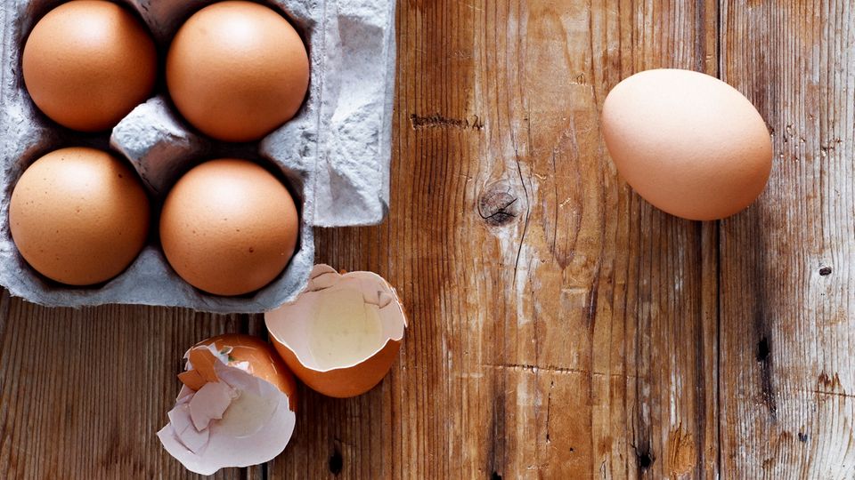 Tipp für Balkon und Garten: Eierschalen eignen sich hervorragend als natürlicher Dünger Tipp für Balkon und Garten: Eierschalen eignen sich hervorragend als natürlicher Dünger