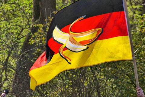 Verunglimpfung: Das Zeigen der hier zu sehenden schwarz-rot-goldenen Bananenflagge ist verboten