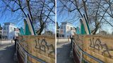 Bei gutem Licht gibt es an der Bildqualität des iPhone SE wenig zu meckern. Selbst im Vergleich zur besten iPhone-Kamera, der des iPhone 13 Pro Max (rechts), schlägt sich das iPhone SE (links) hervorragend. Die Farben sind natürlich, die Bilder sehr detailreich.