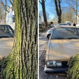 Bei weitläufigeren Bildern muss sich das iPhone SE (links) wegen der Beschränkung auf eine Kamera aber geschlagen geben. Das iPhone 13 Pro Max kann wegen der zusätzlichen Tiefeninformationen einen viel natürlicheren Unschärfeeffekt (Bokeh) im Hintergrund erzeugen. Allerdings fällt das nur im direkten Vergleich auf.