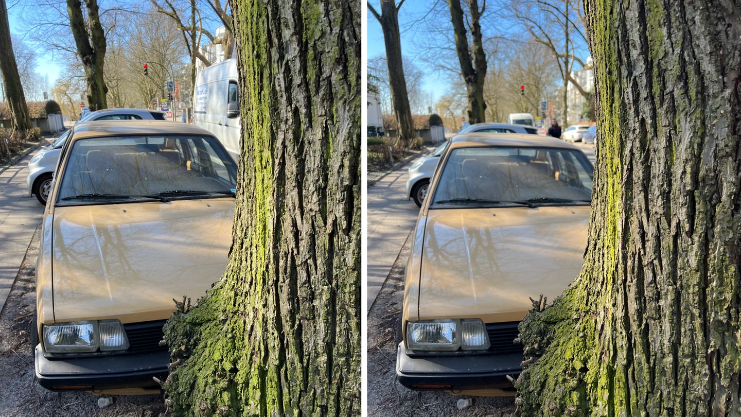 Bei weitläufigeren Bildern muss sich das iPhone SE (links) wegen der Beschränkung auf eine Kamera aber geschlagen geben. Das iPhone 13 Pro Max kann wegen der zusätzlichen Tiefeninformationen einen viel natürlicheren Unschärfeeffekt (Bokeh) im Hintergrund erzeugen. Allerdings fällt das nur im direkten Vergleich auf.