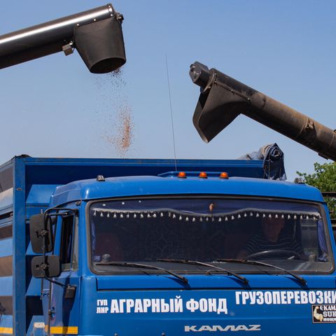 Eine Maschine bei der Weizenernte auf einem Feld in der Ukraine