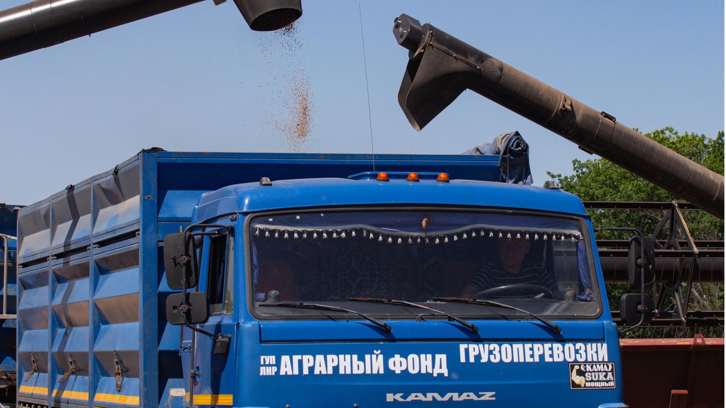 Made in Ukraine – Europe’s breadbasket produces more than just wheat