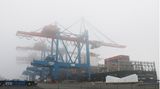 Im Nebel liegende Containerbrücken