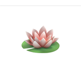 Offizielle Bedeutung: Das Emoji zeigt eine Lotusblüte.  Inoffizielle Bedeutung: Für Yogi ist das Symbol interessant, wer will, kann es auch problemlos sexualisieren. Blühende Blüten stehen in manchen Liedern eben auch für Sie wissen schon.  Besondere Anmerkungen: Bei Google und Twitter fehlt das grüne Blatt.