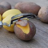 Frisst kein Brot auf der Packliste: Sparschäler.  