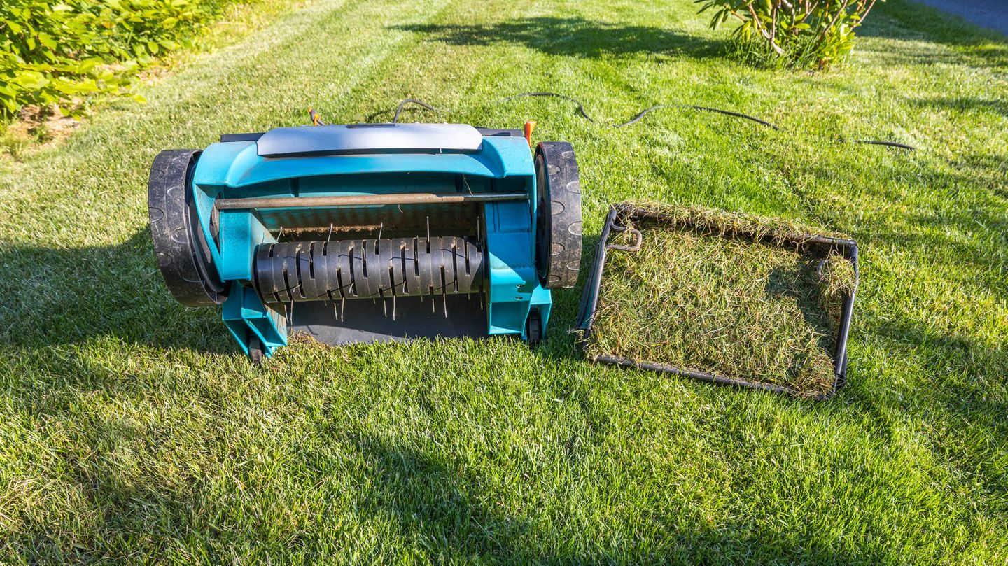 Rasen vertikutieren Diese Fehler sollten Sie vermeiden STERN.de