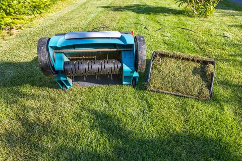 Rasen mähen, aber richtig 7 Tipps für Frühling und Sommer STERN.de