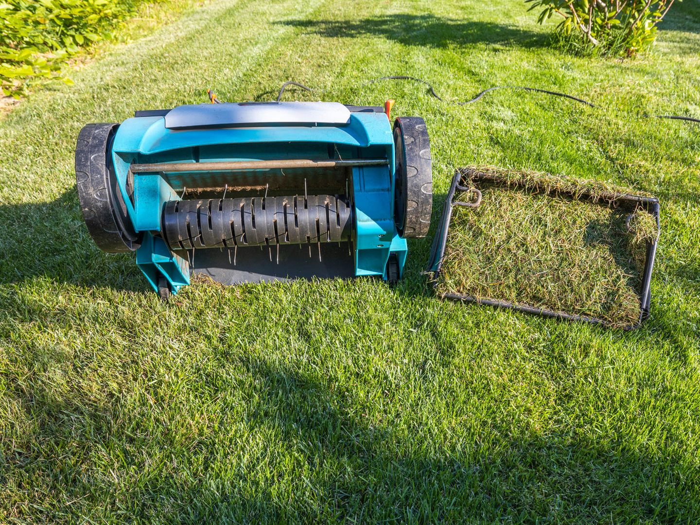Rasen vertikutieren im September: Die hufigsten Fehler und wichtige Tipps  | STERN.de
