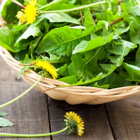 Unkraut aus dem Garten: So lassen sich die Pflanzen in der Küche verwenden