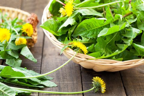 Unkraut aus dem Garten: So lassen sich die Pflanzen in der Küche verwenden