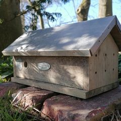 Hummelhaus aufstellen: Hummelhaus an einem schattigen Platz auf dem Boden