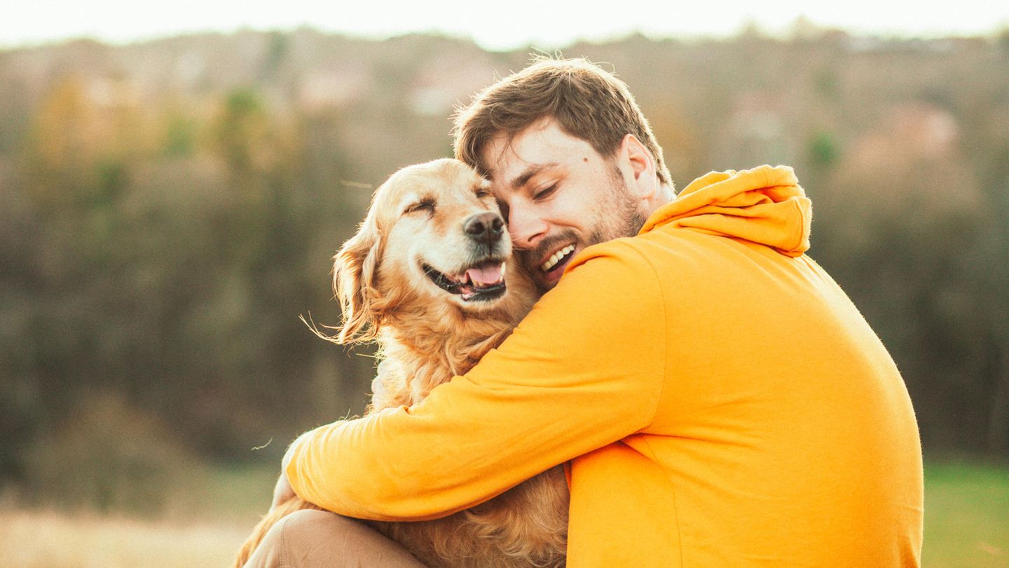 Hunde sind die einzigen, die uns Konkurrenz machen dürfen
