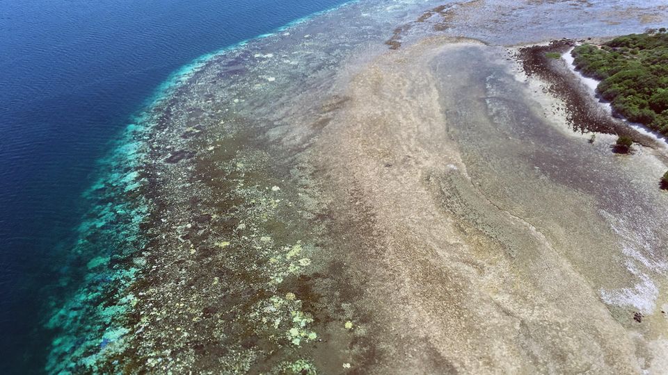 Blick auf ein ausgebleichtes Korallenriff zwischen Australien und Papua-Neuguinea