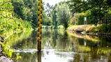 Pegel im Niedrigwasser
