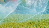 Sprenger Landwirtschaft